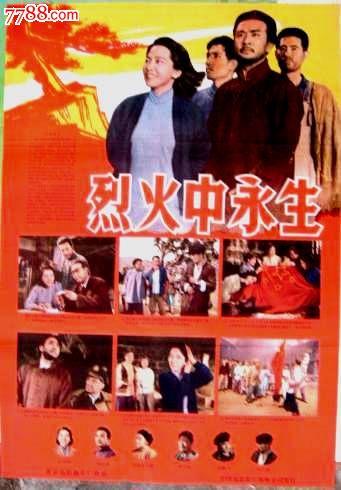 浙江高中毕业证图片